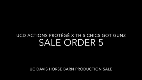Thumbnail for Sale Order 5 - Actions Smokin Gun