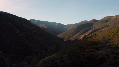 Thumbnail for In-Focus-Wild-Davis-ambient