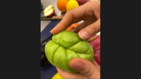 Thumbnail for PLS100BL Live Session - Lab 1 - Plant Anatomy and Morphology