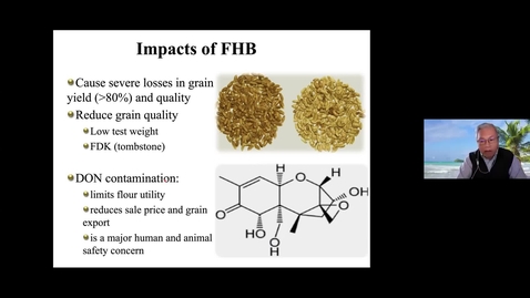 Thumbnail for entry WheatCAP Webinar Session Three - Necrotrophic Pathogens in Wheat