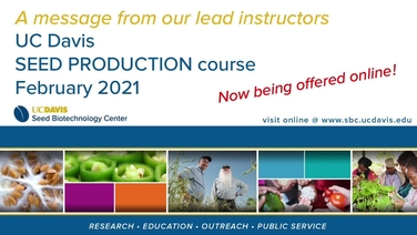 Welcome To The Sbc Seed Biotechnology Center