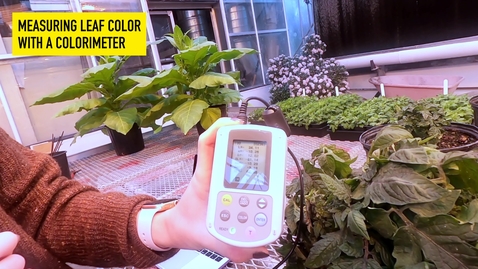 Thumbnail for PLS100BL Lab 6 Hormonal Regulation of Plant Growth (GA &amp; ABA) Experimental Demo 1