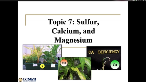 Thumbnail for entry Soil S, Ca and Mg Ch 7 May 7 Lecture