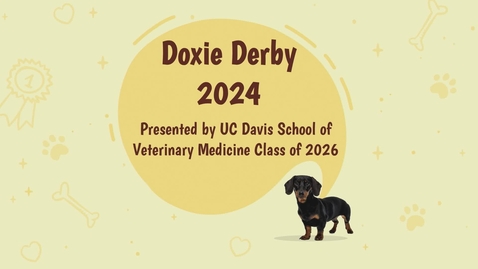 Thumbnail for entry 2024 Doxie Derby 04-20-24