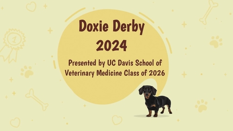 Thumbnail for 2024 Doxie Derby 04-20-24