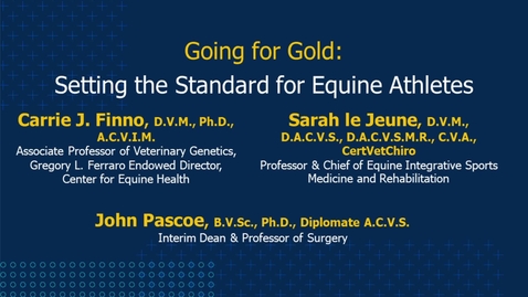 Thumbnail for entry Going for Gold: Setting the Standard for Equine Athletes