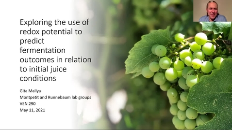 Thumbnail for VEN290 - Exploring the use of redox potential to predict fermentation outcomes