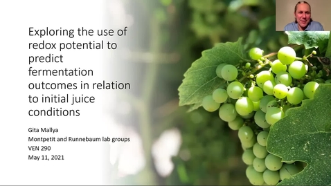 Thumbnail for entry VEN290 - Exploring the use of redox potential to predict fermentation outcomes