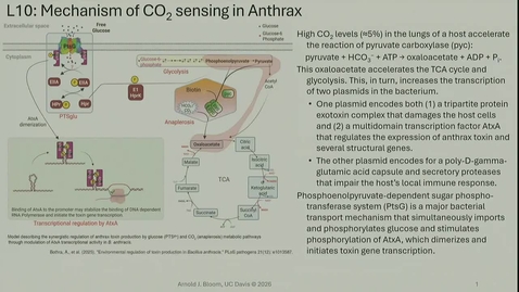 Thumbnail for BIO-003 Lecture 10: 2026-04-20 15:07