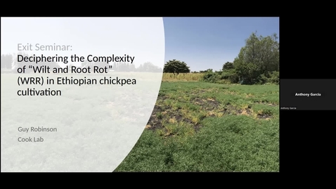 Thumbnail for entry Guy Robinson - Deciphering the Complexity of Wilt and Root Rot (WRR) in Ethiopian chickpea cultivation