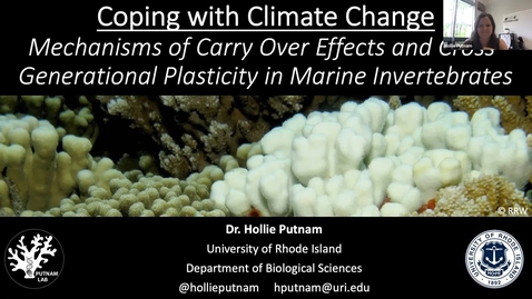 Thumbnail for entry BML - Dr. Hollie Putnam: &quot;Coping with Climate Change: Mechanisms of Carry Over Effects and Cross-Generational Plasticity in Marine Invertebrates&quot;