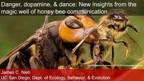 Thumbnail for Dr. James C. Nieh - Danger, Dopamine, and Dance: New insights from the Magic of Well of Honey Bee Communication