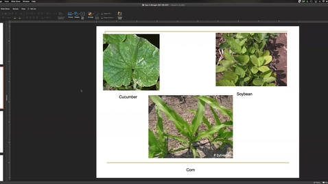 Thumbnail for entry Soil N Ch 4 (Part 3) Apr 28 Lecture