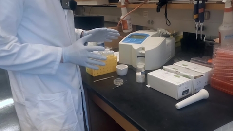Thumbnail for PLS100BL Lab 2 Plant Cell Expansion Experimental Demo 2