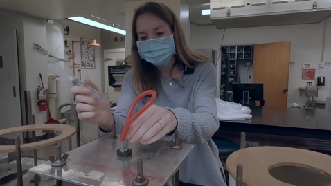 Thumbnail for PLS100BL Lab 7: Hormonal Regulation of Plant Growth (Ethylene) Experimental Demo 1