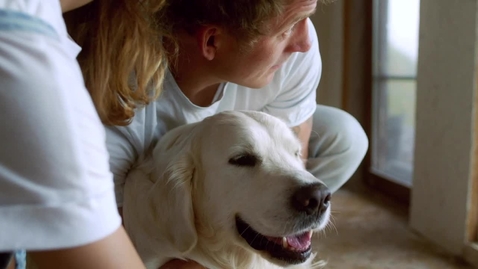 Thumbnail for Limitless - Teaser