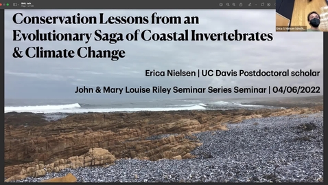 Thumbnail for entry Bodega Marine Laboratory Seminar Series: Erica Nielsen