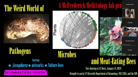 Thumbnail for entry The Weird World of Pathogens, Microbes, and Meat-Eating Bees