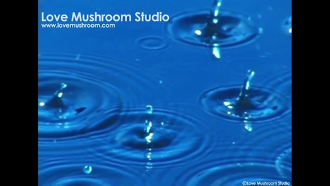 Thumbnail for Superposition of water waves