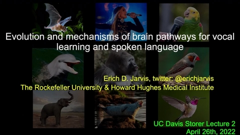 Thumbnail for Storer Lecture - Erich Jarvis - April 26, 2022