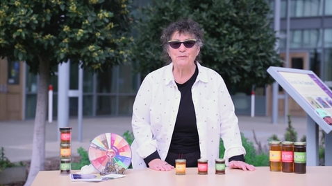 Thumbnail for Guided Honey Tasting