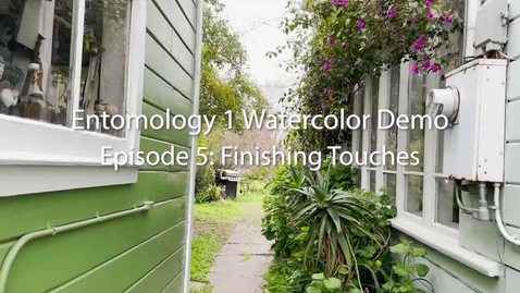 Thumbnail for Entomology 1 Watercolor Demo: Episode 5--Finishing Touches