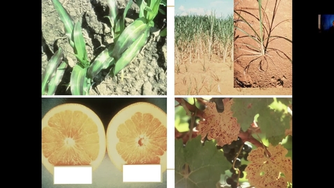 Thumbnail for entry Basics of Soil Plant Relationships April 7