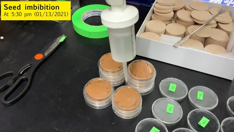 Thumbnail for PLS100BL Lab 3 Plant Responses to Temperature Experimental Demo