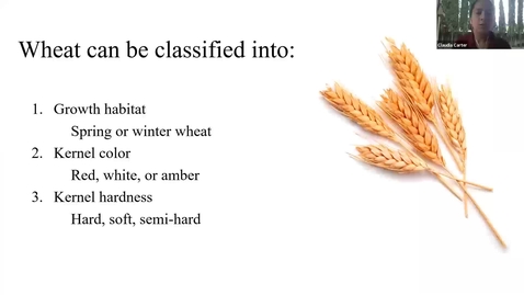 Thumbnail for entry Bread Wheat_ Crop Origins and Cultural Uses Part 2