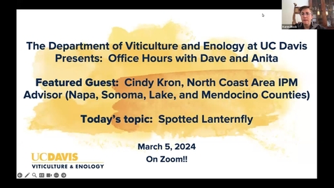 Thumbnail for entry UC Davis Viticulture and Enology Office Hours: Information about Spotted Lanternfly
