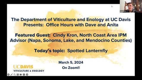 Thumbnail for UC Davis Viticulture and Enology Office Hours: Information about Spotted Lanternfly