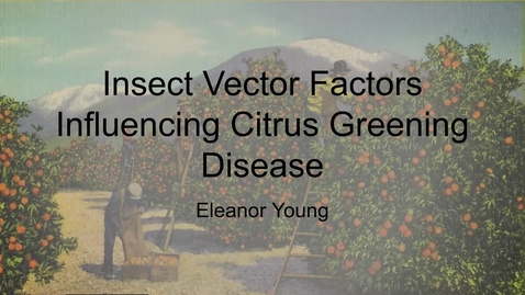 Thumbnail for Eleanor Young - Insect Vector Factors Influencing Citrus Greening Disease