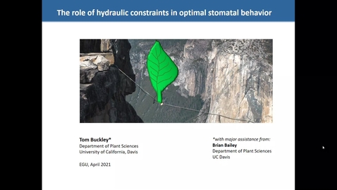 Thumbnail for EGU talk (TN Buckley April 2021)