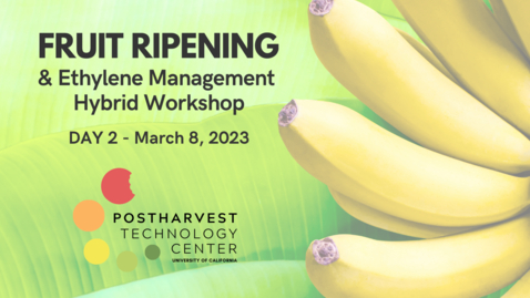 Thumbnail for entry 2023 Fruit Ripening &amp; Ethylene Management Workshop - Day 2