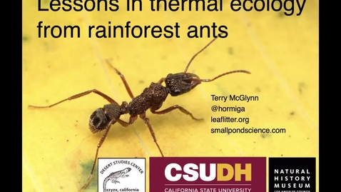 Thumbnail for entry Dr. Terry McGlynn - Lessons about thermal ecology from rainforest ants