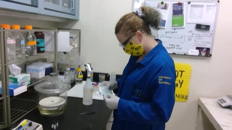Thumbnail for EBS 127 Adsorption Lab Demo I