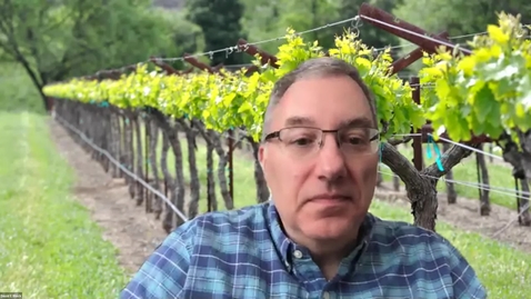 Thumbnail for entry Office Hours with Dave and Anita, Episode 11:  Pierce's Disease-Resistant Winegrape Varieties (August 25, 2020)