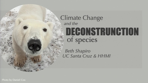 Thumbnail for entry Storer Lecture (Peer Lecture) - Beth Shapiro - October 25, 2022