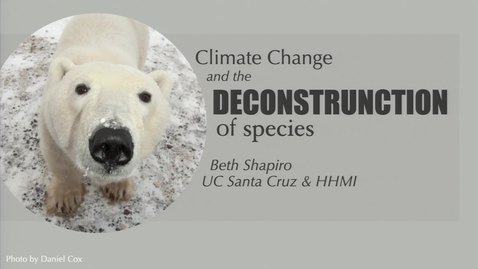 Thumbnail for Storer Lecture (Peer Lecture) - Beth Shapiro - October 25, 2022