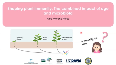 Thumbnail for Alba Moreno Pérez - Shaping plant immunity: The combined impact of age and microbiota