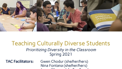 Thumbnail for CEE Graduate Student Workshops - Teaching Culturally Diverse Students