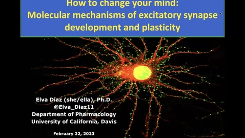Thumbnail for CAMPOS Research Colloquium - Elva Diaz - February 22, 2023