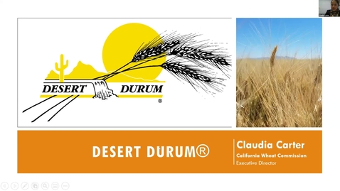 Thumbnail for entry WheatCAP Webinar Session Eight - Evaluating Pasta Quality For Durum