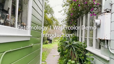Thumbnail for Entomology 1 Watercolor Demo Introduction