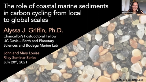 Thumbnail for BML - Dr. Alyssa Griffin:  The role of coastal marine sediments in carbon cycling from local to global scales