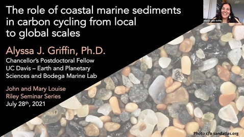 Thumbnail for entry BML - Dr. Alyssa Griffin:  The role of coastal marine sediments in carbon cycling from local to global scales