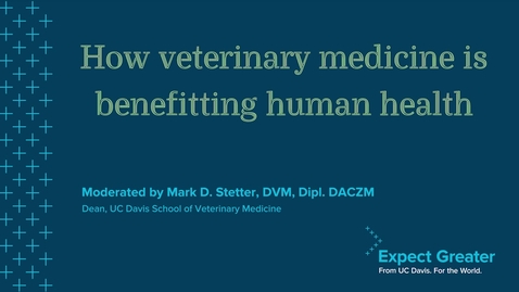 Thumbnail for entry How veterinary medicine is benefitting human health