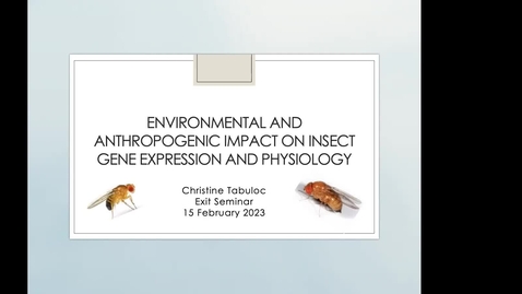 Thumbnail for entry Christine Tabuloc's Exit Seminar: Environmental and anthropogenic impact on insect gene expression and physiology