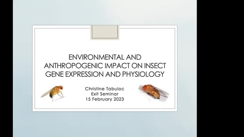 Thumbnail for Christine Tabuloc's Exit Seminar: Environmental and anthropogenic impact on insect gene expression and physiology