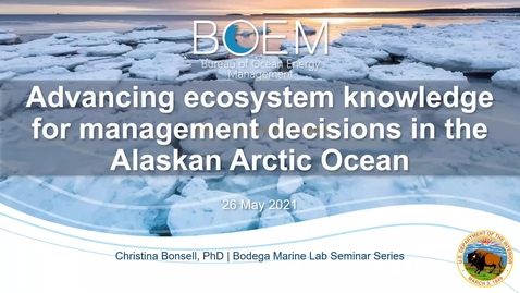 Thumbnail for BML - Dr. Christina Bonsell: &quot;Advancing ecosystem knowledge for management decisions in the Alaskan Arctic Ocean&quot;